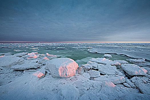 浮冰,哈得逊湾,海岸,靠近,河,河口,北方,丘吉尔市,曼尼托巴,加拿大