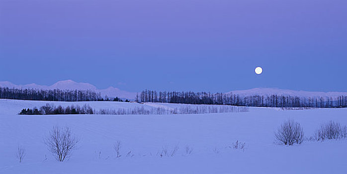冬天,山,月出