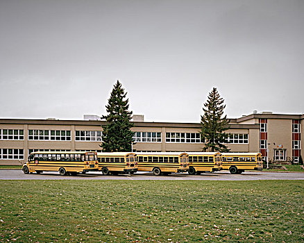 学校,巴士