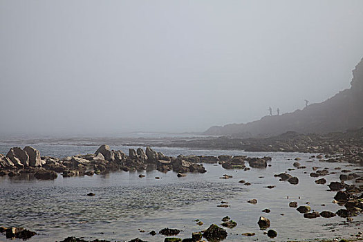 卢尔沃思,小湾,阶梯,洞,多西特,英国,风景,模糊,白天