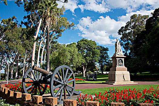 澳大利亚,佩思,公园,维多利亚皇后,纪念建筑,道路,历史,橡胶树,排列,大幅,尺寸