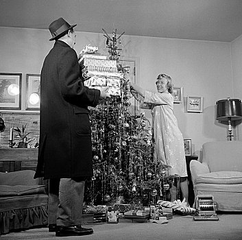 伴侣,准备,圣诞树,客厅