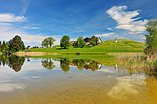 家,旁侧,湖,看,斯瓦比亚,巴伐利亚,德国