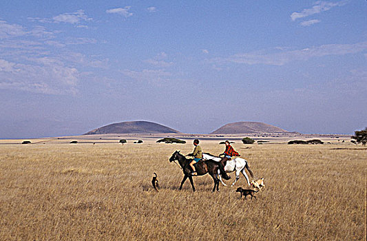 坦桑尼亚,公园,塞伦盖蒂,两个人,骑马,狗