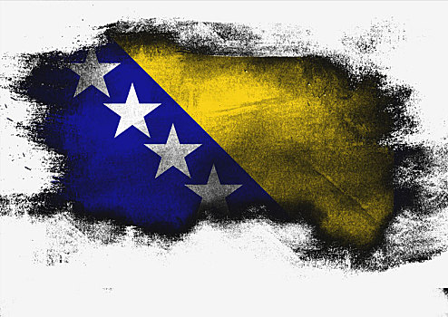 波斯尼亚,黑塞哥维那,旗帜,涂绘,画刷