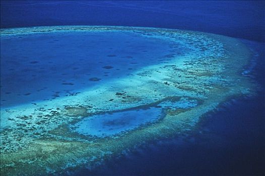 马尔代夫,航拍,珊瑚礁