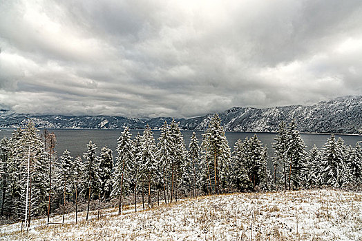 冬天,云,上方,湖,俯视,积雪,树,山,背景,爱达荷