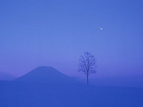 山,月亮,黎明