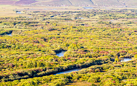 额尔古纳国家湿地秋景