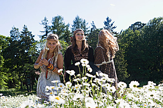三个女人,年轻,摘花,草地