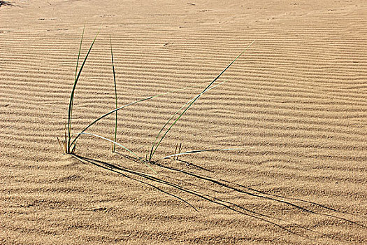 腾格里沙漠