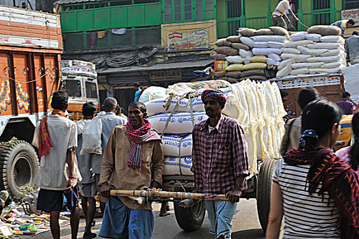 印度,加尔各答,街景,搬运工