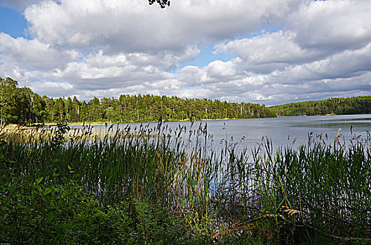 瑞典,自然