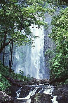 夏威夷,瀑布,层叠,岩石,悬崖,树,俯瞰,河流,前景
