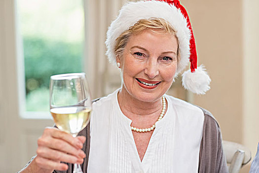微笑,成年,女人,圣诞帽,祝酒,白葡萄酒