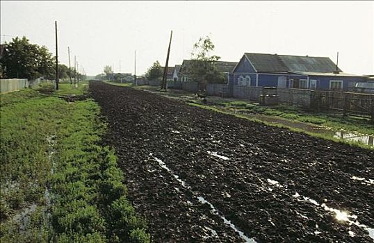 乡村,道路,泥,西伯利亚,俄罗斯,田园