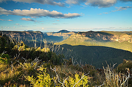 山谷,蓝山国家公园,蓝山,世界遗产,区域,新南威尔士,澳大利亚