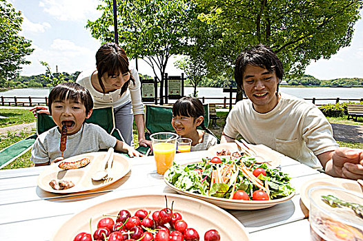 家庭,吃,野餐