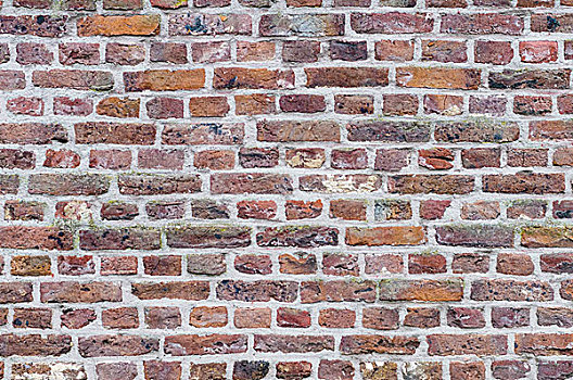 砖墙,背景,不同,尺寸,彩色,砖