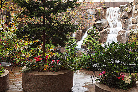 瀑布,花园,公园,西雅图,美国