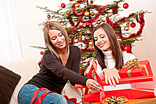 两个女人,包装,圣诞礼物,正面,树