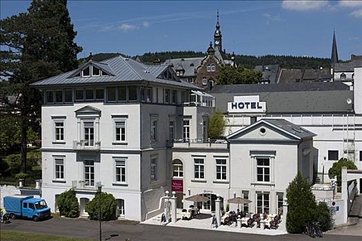酒店,别墅,区域,摩泽尔,地区,莱茵兰普法尔茨州,德国,欧洲