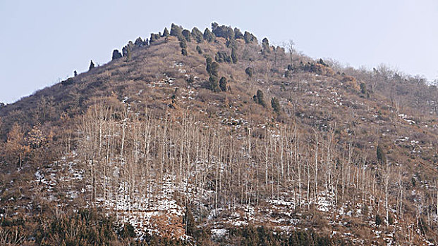 终南山古观音禅寺