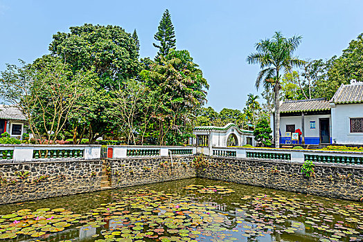 海南儋州东坡书院,荷塘