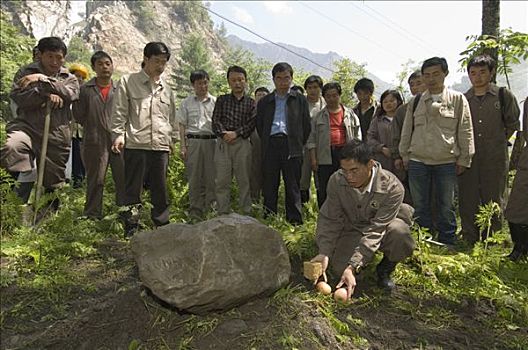 大熊猫,看护,靠近,墓碑,五月,2008年,地震,卧龙,中国