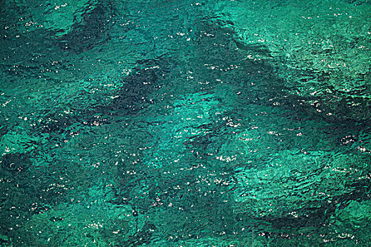 绿色,沿岸,亚德里亚海,水,水下,石头