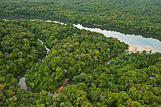 河,雨林,圭亚那