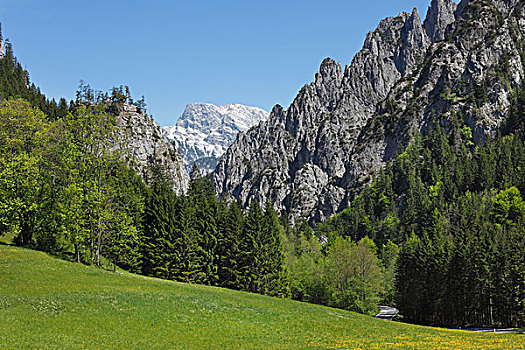 国家公园,风景,阿尔卑斯山,施蒂里亚,奥地利,欧洲