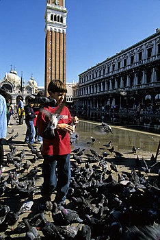 意大利,威尼斯,圣马可广场,男孩,喂食,鸽子