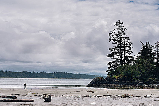 人,长滩,环太平洋国家公园,温哥华岛,加拿大