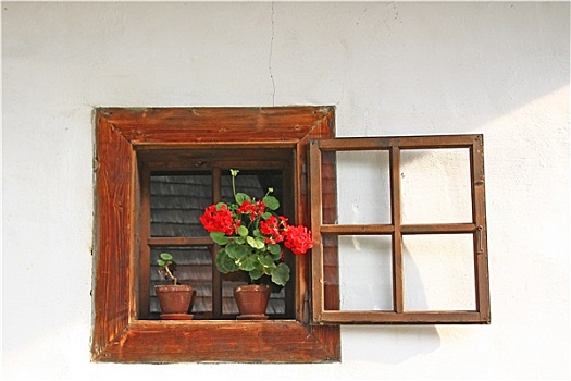 乡村,窗户,红花,容器
