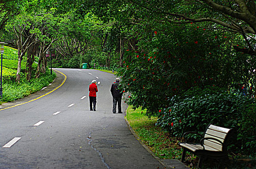 马路公路山路旅行背影旅游深圳公园