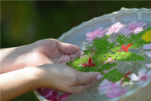 女性,手,花,水中