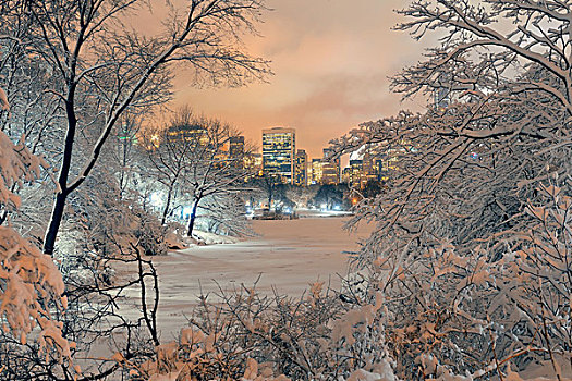 中央公园,冬天,曼哈顿中城,纽约