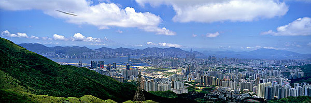 全景,城市,九龙,顶峰,香港