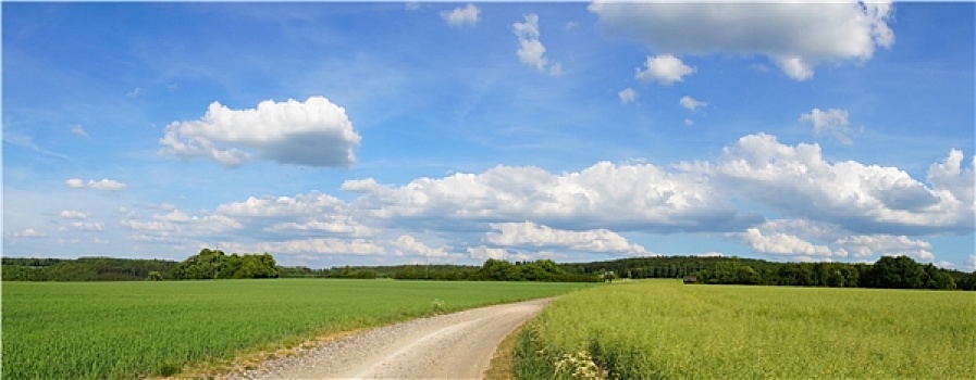 天空,风景,全景