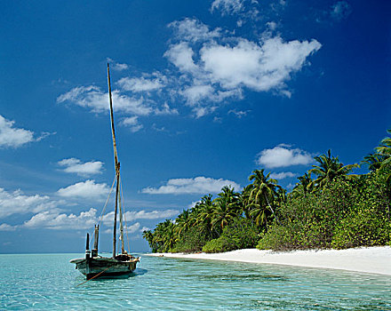 船,锚定,靠近,海滩,马尔代夫