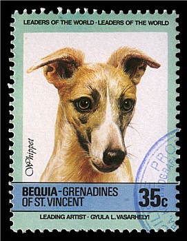 邮票,格林纳丁斯群岛,小灵狗,狗