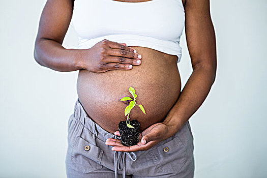 孕妇,拿着,小,植物,手
