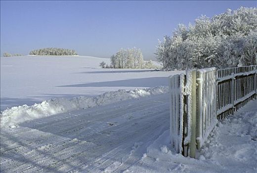 冬季风景,小树林,栅栏,白霜,靠近,矿,山峦,萨克森,德国