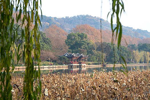 杭州西湖秋天美丽景色