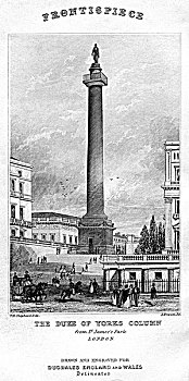 公爵,柱子,圣詹姆斯公园,威斯敏斯特,伦敦,19世纪