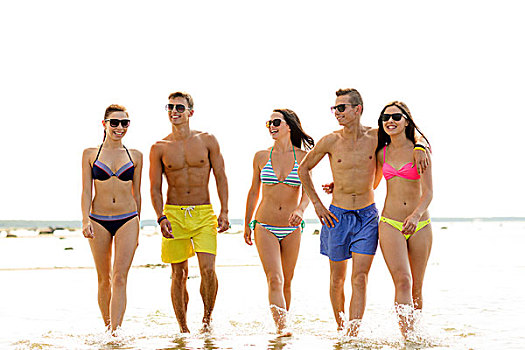 友谊,海洋,暑假,休假,人,概念,群体,微笑,朋友,戴着,泳衣,墨镜,走,海滩