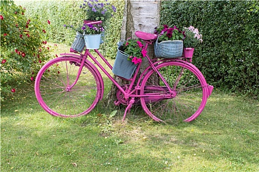 粉色,自行车,花,站立,装饰,花园