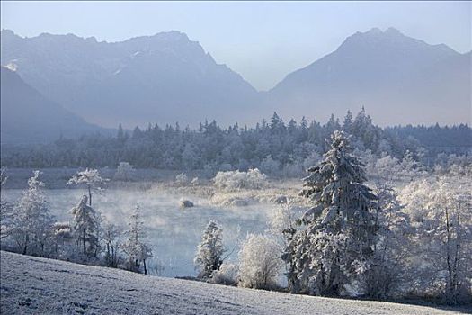 早晨,白霜,正面,楚格峰,山,巴伐利亚,德国,欧洲