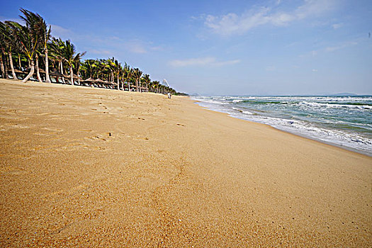 深圳欢乐海岸椰林沙滩图片